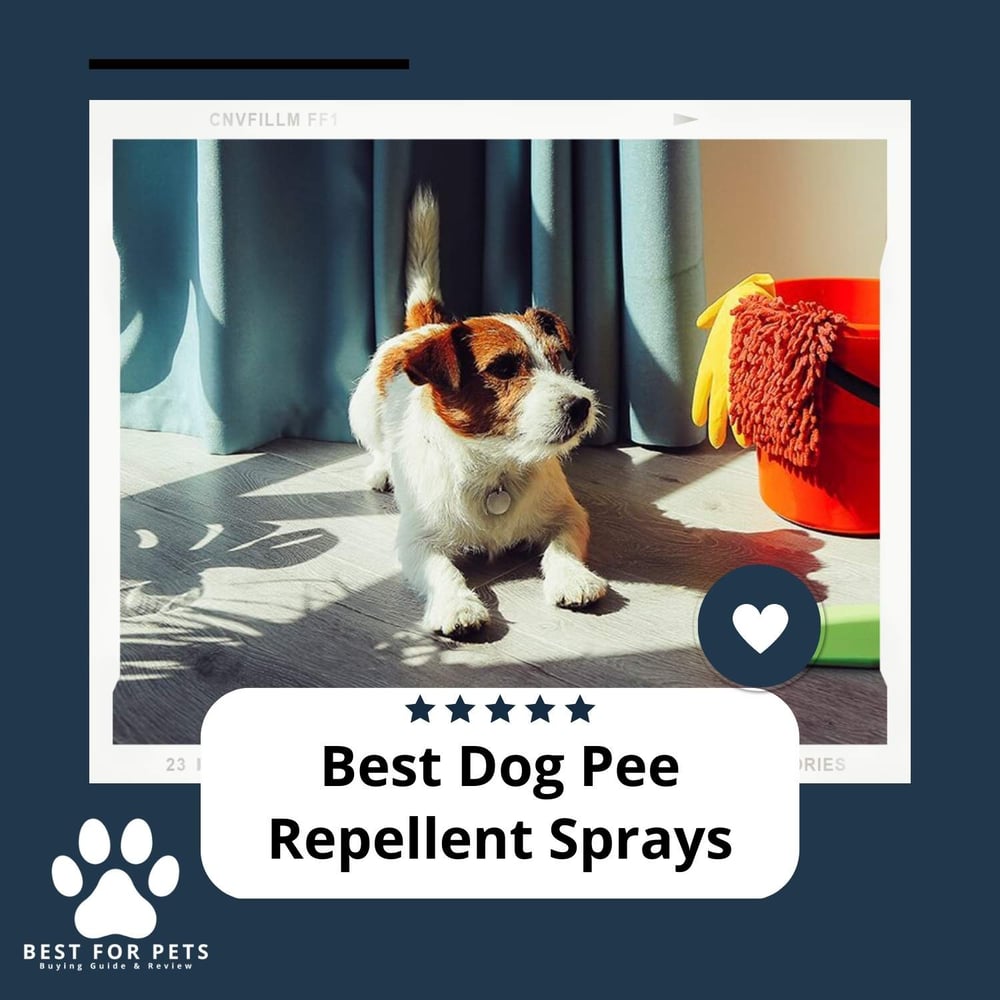 Best Dog Pee Repellent Sprays Best For Pets