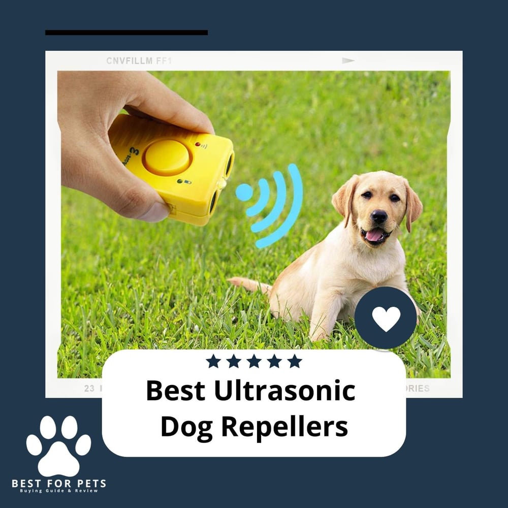 The 8 Best Ultrasonic Dog Repellers