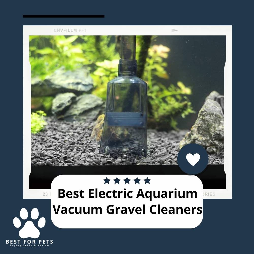The 15 Best Electric Aquarium Vacuum Gravel Cleaners