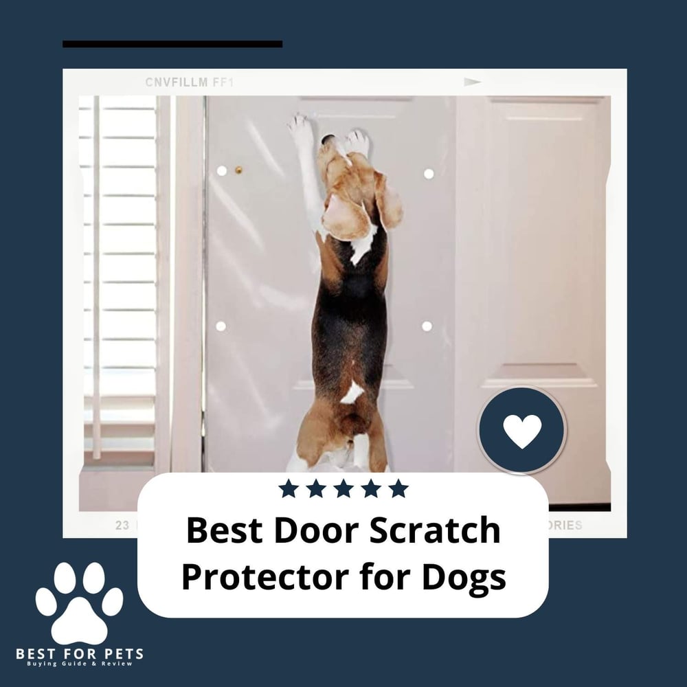 The 8 Best Door Scratch Protector For Dogs