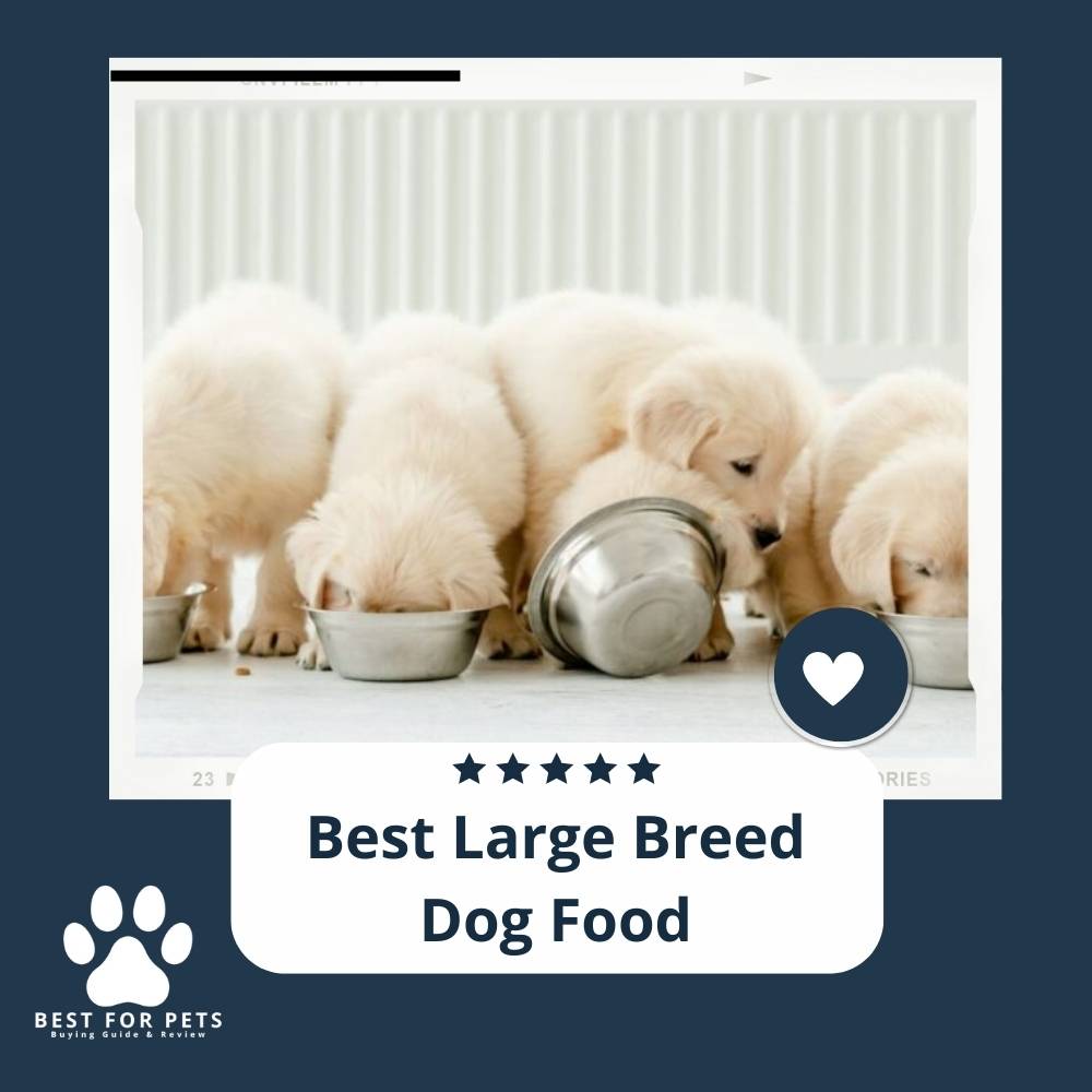 the-15-best-large-breed-dog-food