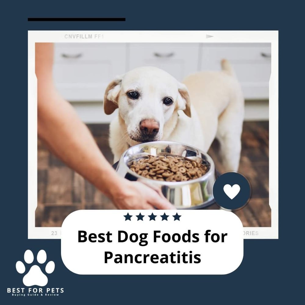 symptoms-of-acute-and-chronic-pancreatitis-with-its-causes-bimaristan