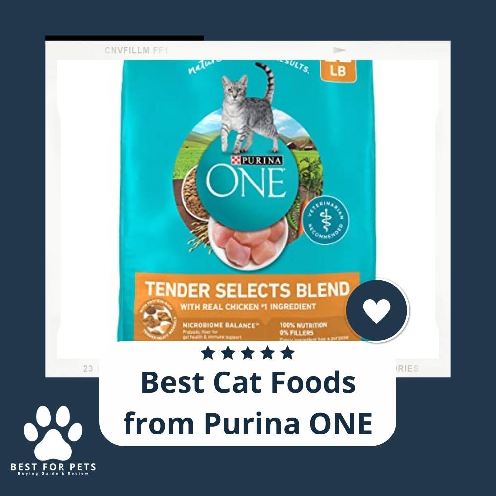 10 Best Cat Foods From Purina One In 2023