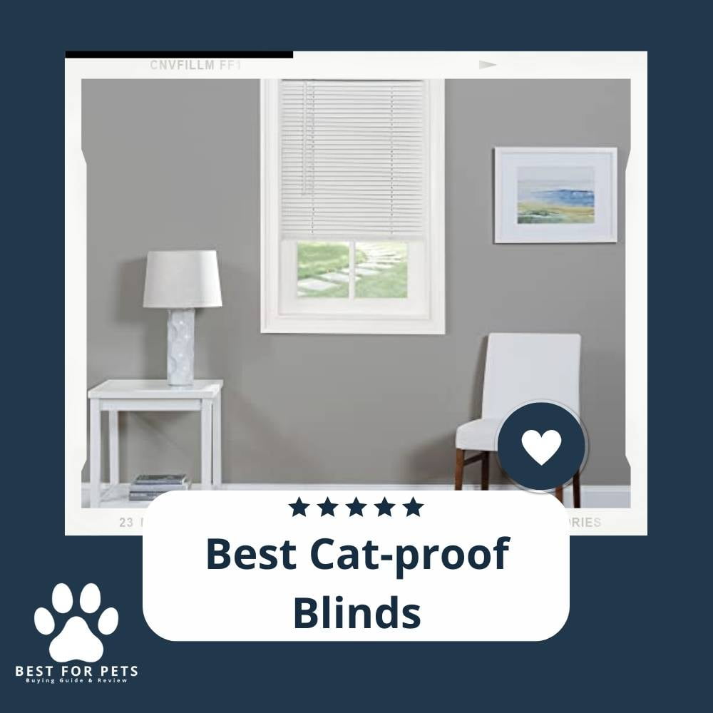 Here Are The Best CatProof Blinds In 2023