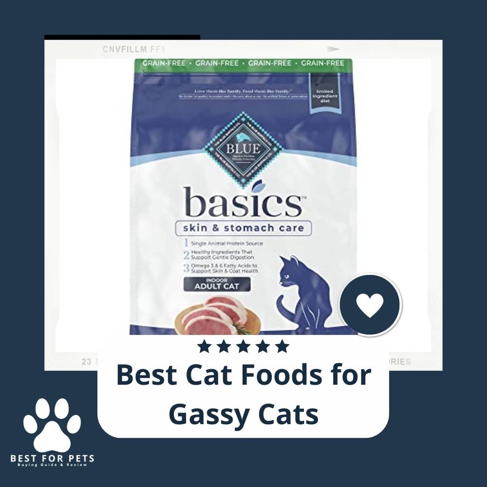 Best Cat Food To Reduce Dander The 15 Best Vet-Recommended Cat Foods