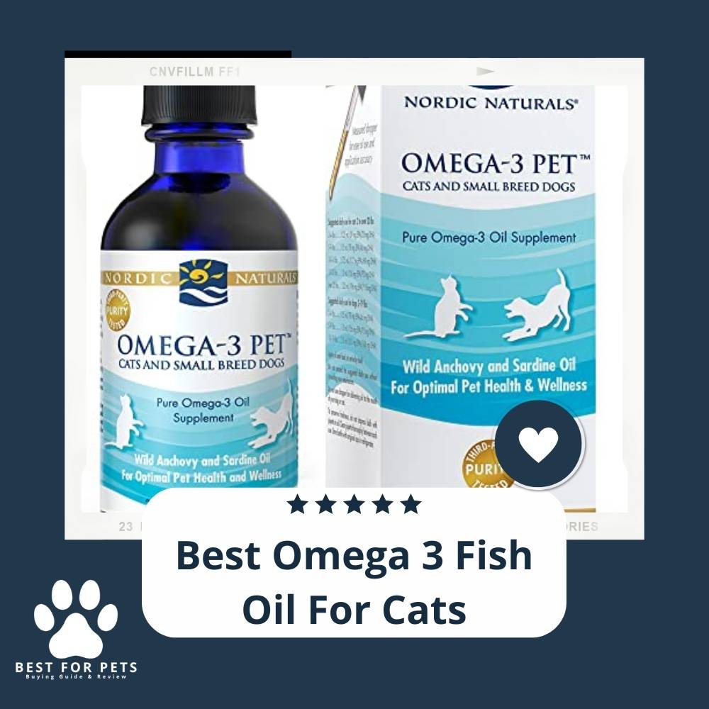 The 12 Best Omega 3 Fish Oil For Cats