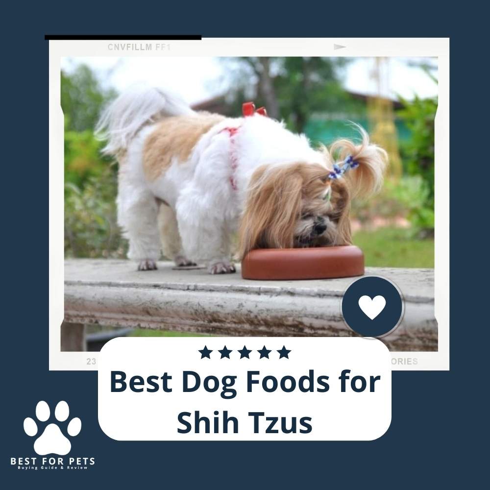 The 10 Best Dog Foods For Shih Tzus in 2025 - BestForPets.org