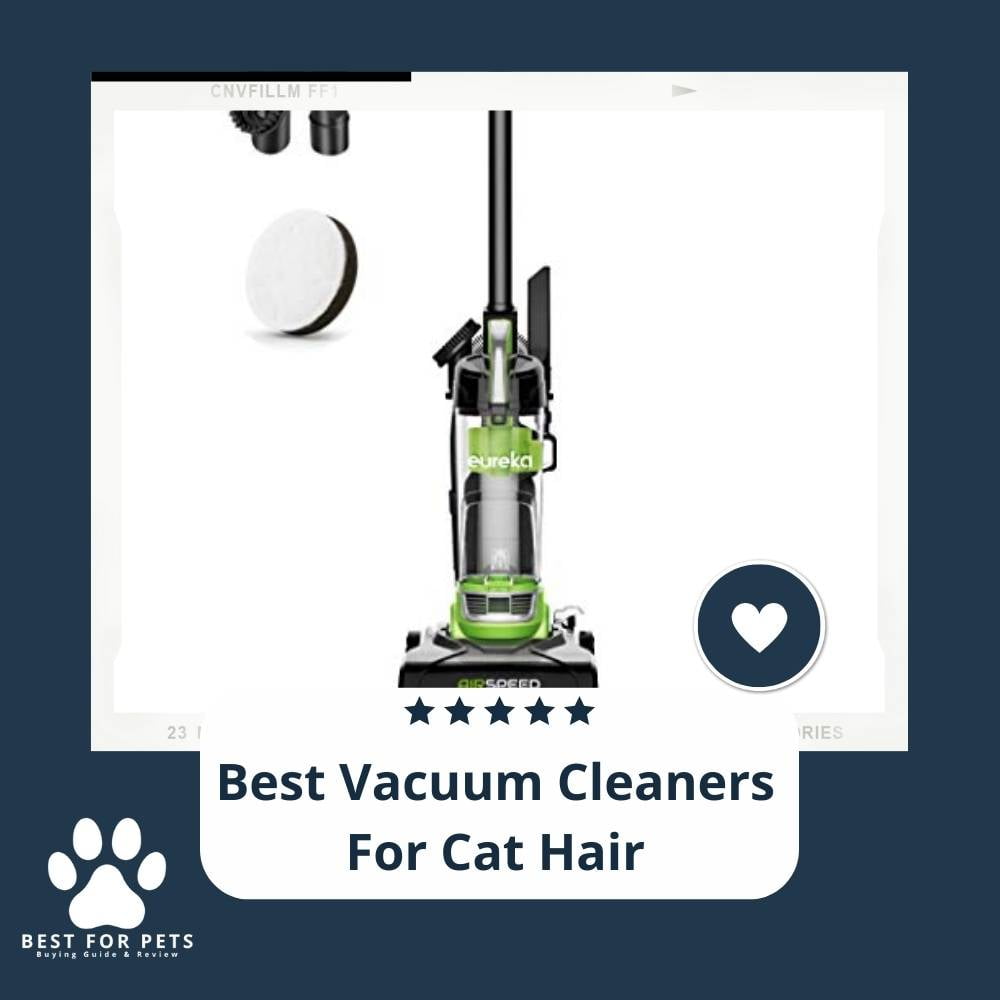 The Best Vacuum Cleaners For Cat Hair 8 Best Sellers In 2023