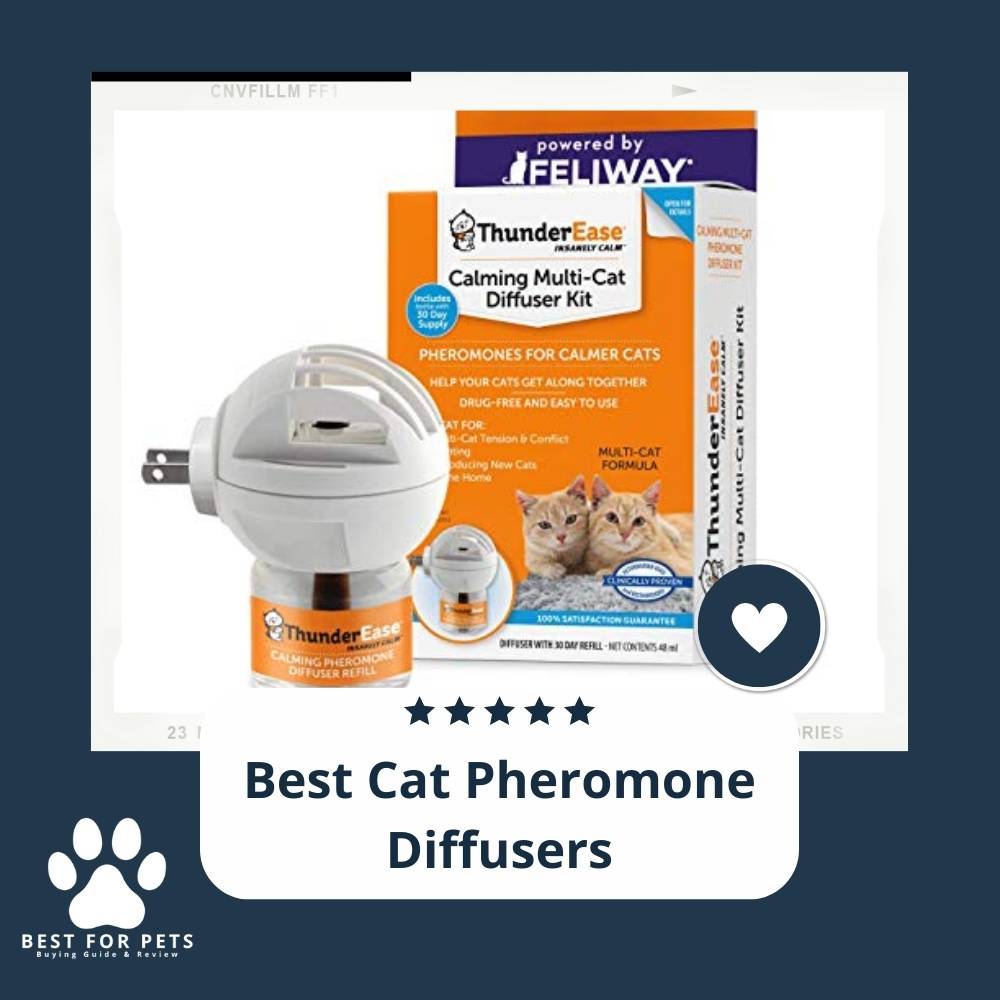 the-8-best-cat-pheromone-diffusers-bestforpets