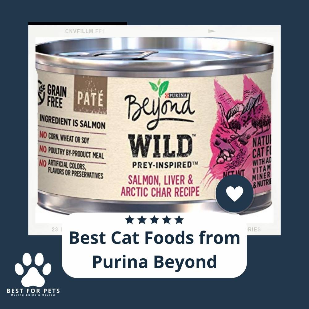 vuU0ckYTm-best-cat-foods-from-purina-beyond