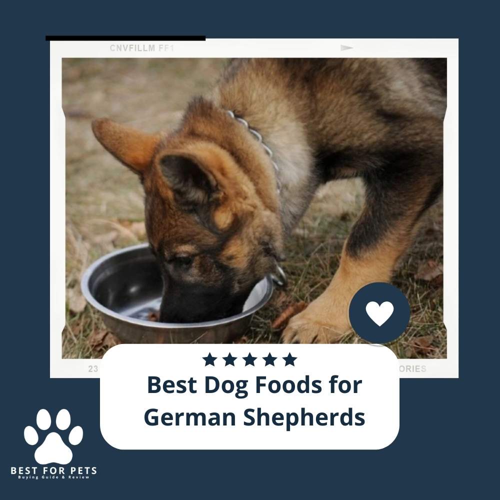 The 11 Best Dog Foods For German Shepherds 2024 - BestForPets.org