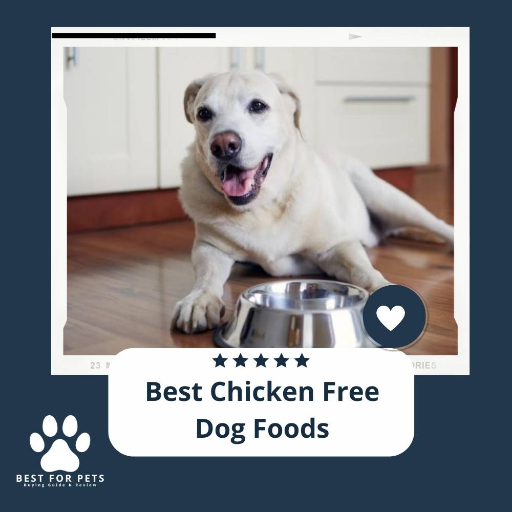 Chicken free dog food