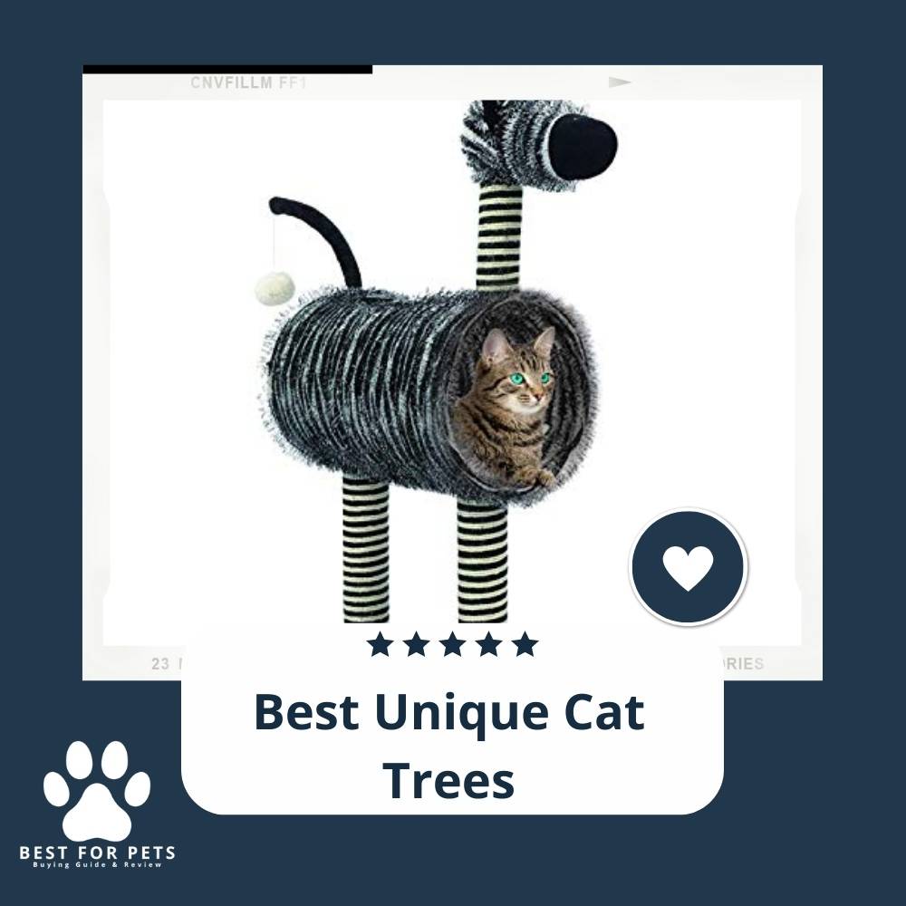What'S The Best Unique Cat Trees In 2023?