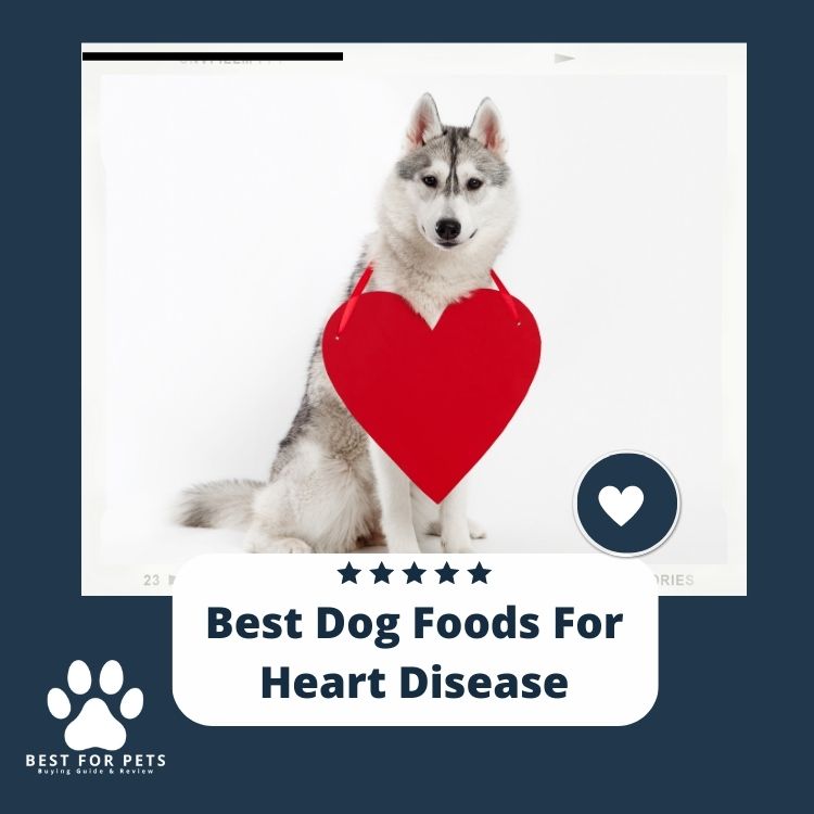 The 10 Best Dog Foods For Heart Disease in 2024