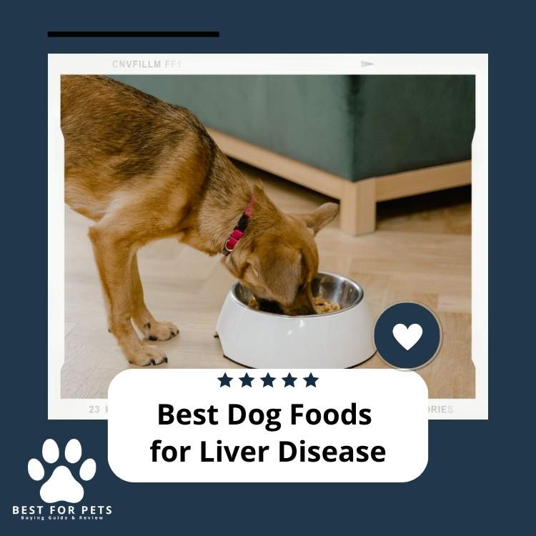 the-10-best-dog-foods-for-liver-disease-in-2024-bestforpets