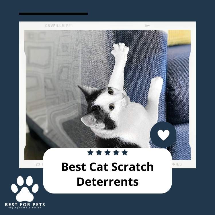 10 Best Cat Scratch Deterrents in 2024