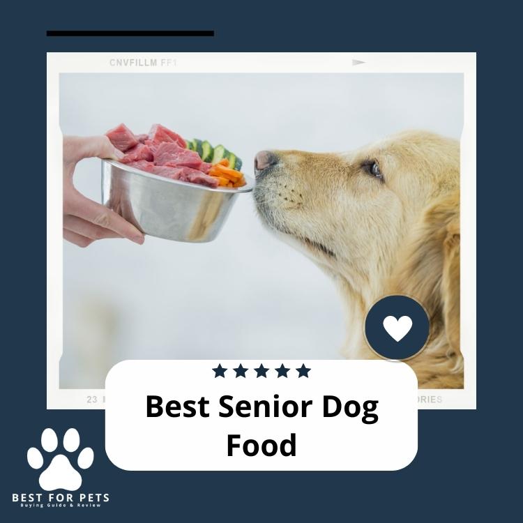 Best Senior Dog Food - Best For Pets