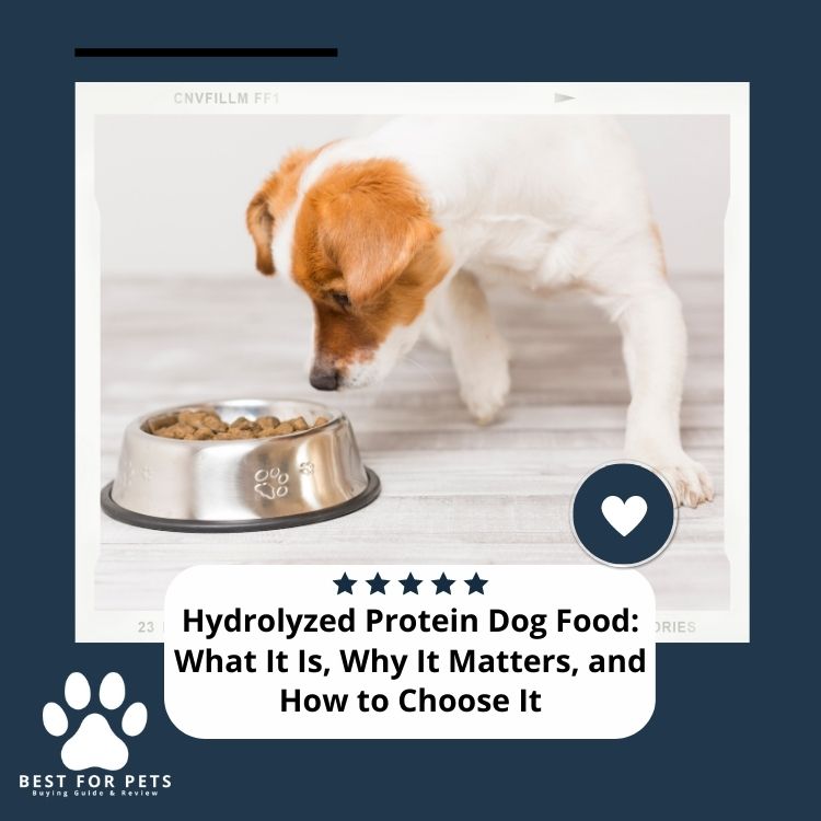 Hydrolyzed Protein Dog Food What It Is, Why It Matters, and How to