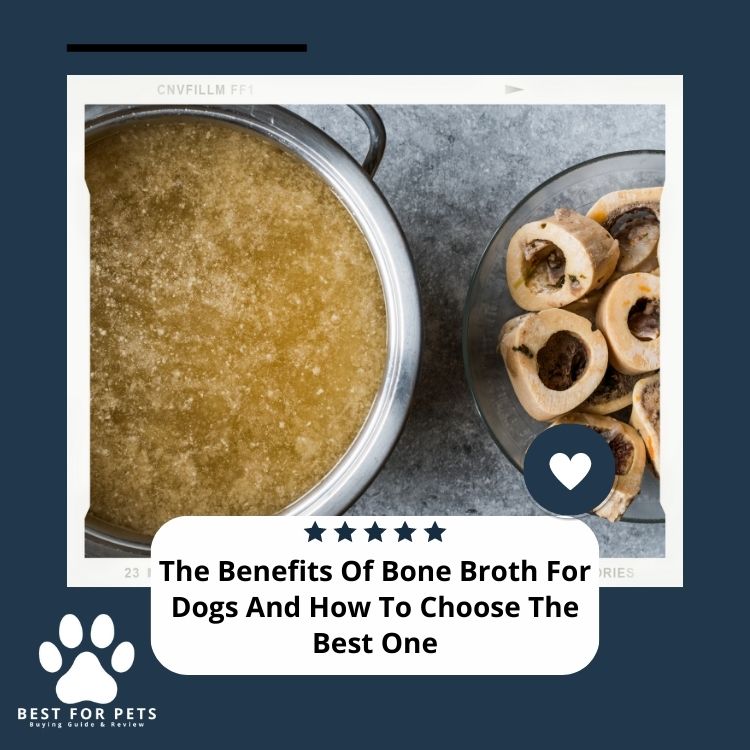 The Benefits of Bone Broth for Dogs and How to Choose the Best One