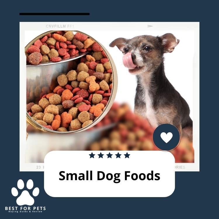 Small Dog Foods How to Choose the Best Food for Your Small Breed Dog
