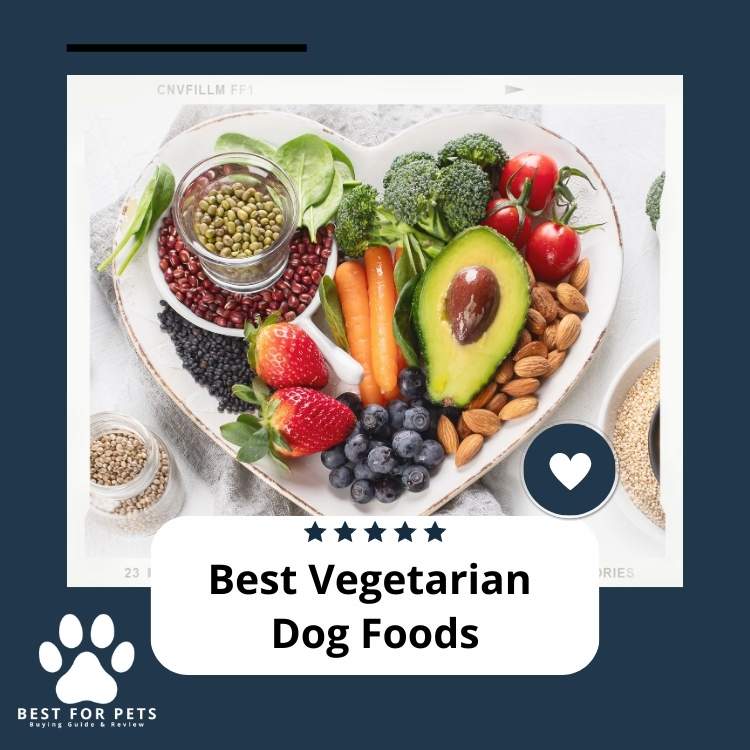 8 Best Vegetarian Dog Foods in 2024 - BestForPets.org