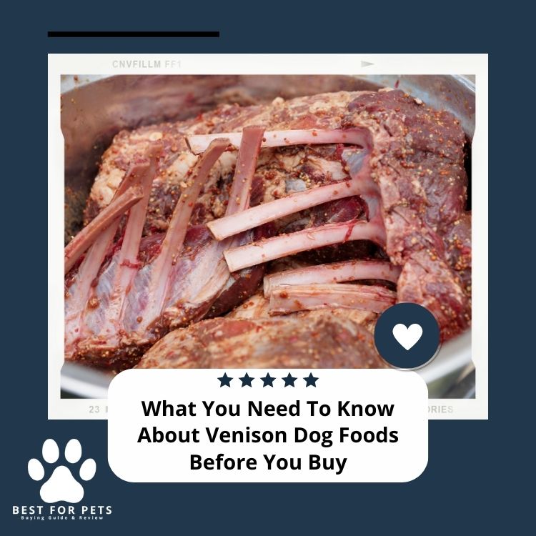 What You Need to Know About Venison Dog Foods Before You Buy